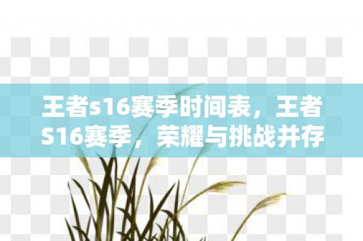 王者s16赛季时间表,王者S16赛季,荣耀与挑战并存的赛季时间 王者s16赛季时间表,王者S16赛季,荣耀与挑战并存的赛季时间
