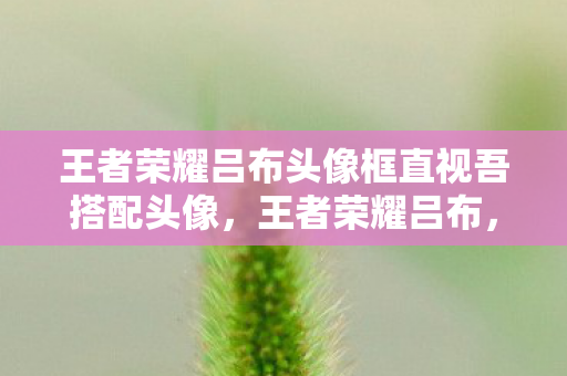 王者荣耀吕布头像框直视吾搭配头像图片