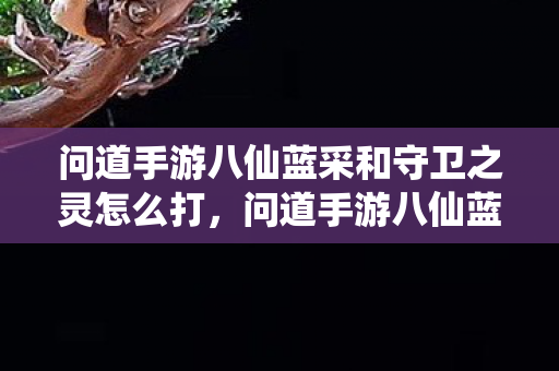 问道手游八仙蓝采和守卫之灵怎么打图片