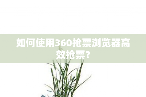 如何使用360抢票浏览器高效抢票? 如何使用360抢票浏览器高效抢票?