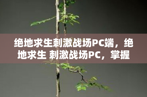 绝地求生刺激战场PC端,绝地求生 刺激战场PC,掌握技巧,提升游戏水平 绝地求生刺激战场PC端,绝地求生 刺激战场PC,掌握技巧,提升游戏水平