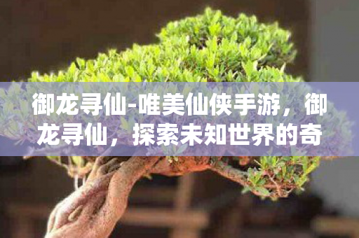 御龙寻仙-唯美仙侠手游,御龙寻仙,探索未知世界的奇幻之旅 御龙寻仙-唯美仙侠手游,御龙寻仙,探索未知世界的奇幻之旅