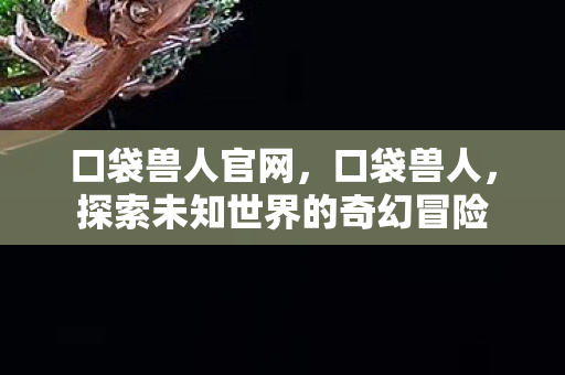 口袋兽人官网,口袋兽人,探索未知世界的奇幻冒险 口袋兽人官网,口袋兽人,探索未知世界的奇幻冒险