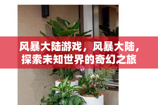 风暴大陆游戏,风暴大陆,探索未知世界的奇幻之旅 风暴大陆游戏,风暴大陆,探索未知世界的奇幻之旅