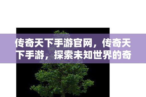 传奇天下手游官网,传奇天下手游,探索未知世界的奇幻之旅 传奇天下手游官网,传奇天下手游,探索未知世界的奇幻之旅