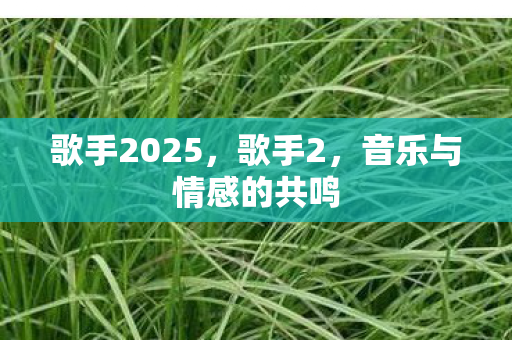 歌手2025,歌手2,音乐与情感的共鸣 歌手2025,歌手2,音乐与情感的共鸣