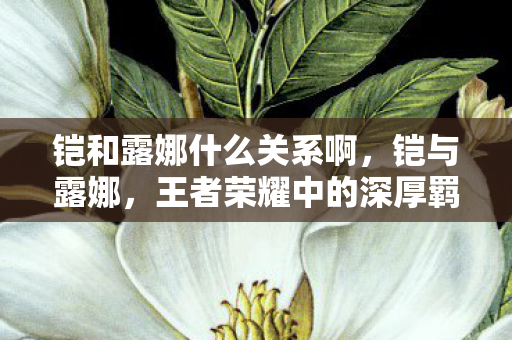 铠和露娜什么关系啊，铠与露娜，王者荣耀中的深厚羁绊