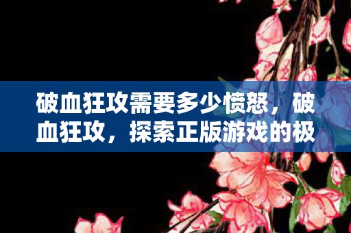 破血狂攻需要多少愤怒,破血狂攻,探索正版游戏的极致战斗体验 破血狂攻需要多少愤怒,破血狂攻,探索正版游戏的极致战斗体验