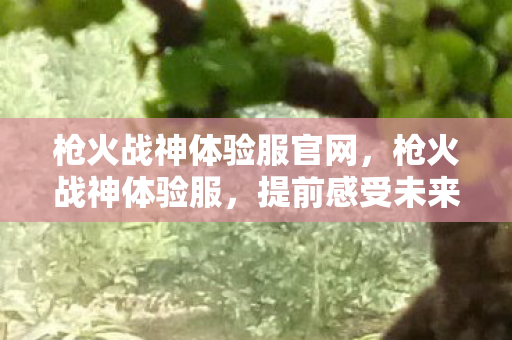 枪火战神体验服官网，枪火战神体验服，提前感受未来战场的热血与激情