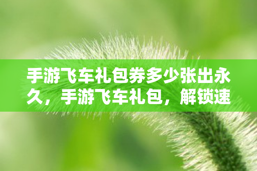 手游飞车礼包券多少张出永久，手游飞车礼包，解锁速度与激情的钥匙