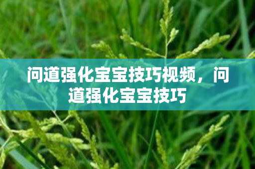 问道强化宝宝技巧视频,问道强化宝宝技巧 问道强化宝宝技巧视频,问道强化宝宝技巧