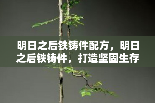 明日之后铁铸件配方，明日之后铁铸件，打造坚固生存之路