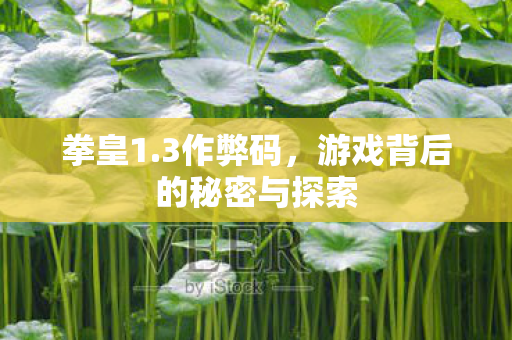 拳皇1.3作弊码,游戏背后的秘密与探索 拳皇1.3作弊码,游戏背后的秘密与探索