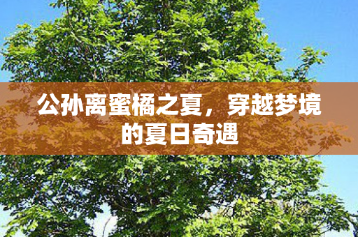 公孙离蜜橘之夏,穿越梦境的夏日奇遇 公孙离蜜橘之夏,穿越梦境的夏日奇遇