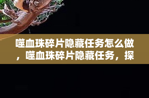 噬血珠碎片隐藏任务怎么做,噬血珠碎片隐藏任务,探索未知世界的神秘之旅 噬血珠碎片隐藏任务怎么做,噬血珠碎片隐藏任务,探索未知世界的神秘之旅