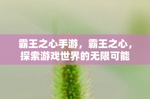 霸王之心手游,霸王之心,探索游戏世界的无限可能 霸王之心手游,霸王之心,探索游戏世界的无限可能