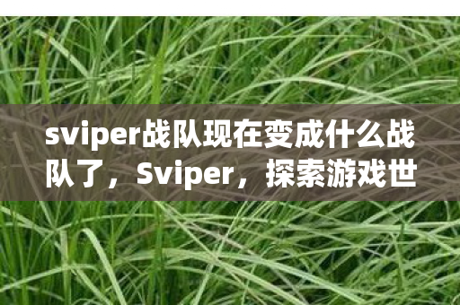 sviper战队现在变成什么战队了,Sviper,探索游戏世界的无限可能 sviper战队现在变成什么战队了,Sviper,探索游戏世界的无限可能