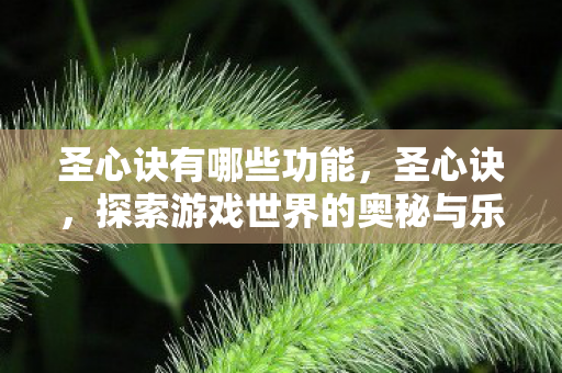 圣心诀有哪些功能，圣心诀，探索游戏世界的奥秘与乐趣