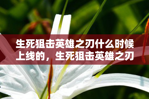 生死狙击英雄之刃什么时候上线的图片