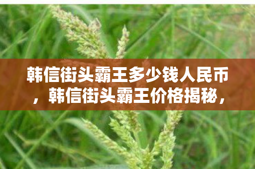 韩信街头霸王多少钱人民币，韩信街头霸王价格揭秘，为何这款皮肤如此昂贵？