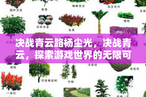 决战青云路杨尘光，决战青云，探索游戏世界的无限可能