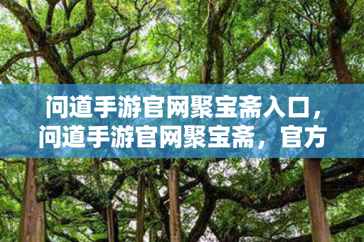 问道手游官网聚宝斋入口图片
