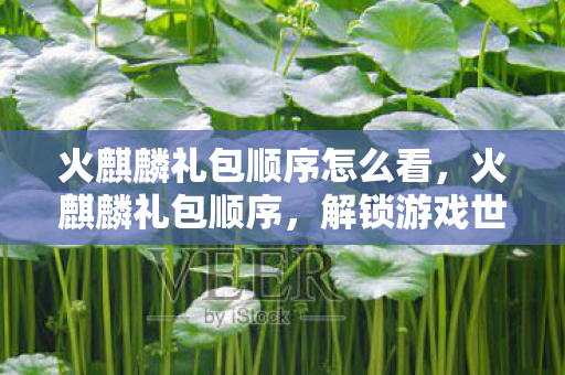 解锁游戏世界的神秘钥匙图片
