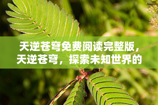 天逆苍穹免费阅读完整版，天逆苍穹，探索未知世界的奇幻之旅