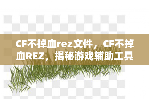 CF不掉血rez文件,CF不掉血REZ,揭秘游戏辅助工具的神秘面纱 CF不掉血rez文件,CF不掉血REZ,揭秘游戏辅助工具的神秘面纱