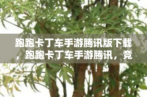 跑跑卡丁车手游腾讯版下载图片