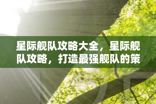 打造最强舰队的策略与技巧图片