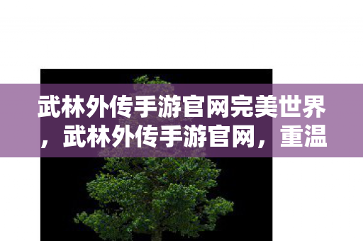 武林外传手游官网完美世界,武林外传手游官网,重温经典,再续江湖情缘 武林外传手游官网完美世界,武林外传手游官网,重温经典,再续江湖情缘
