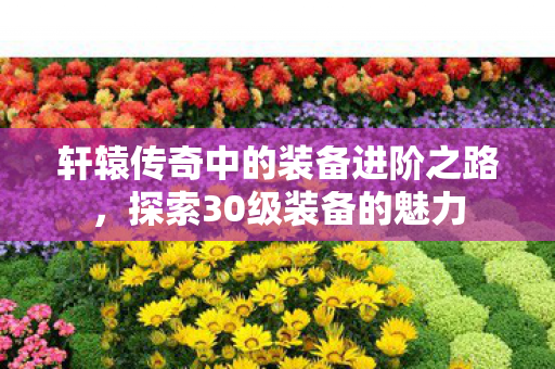 轩辕传奇中的装备进阶之路,探索30级装备的魅力 轩辕传奇中的装备进阶之路,探索30级装备的魅力