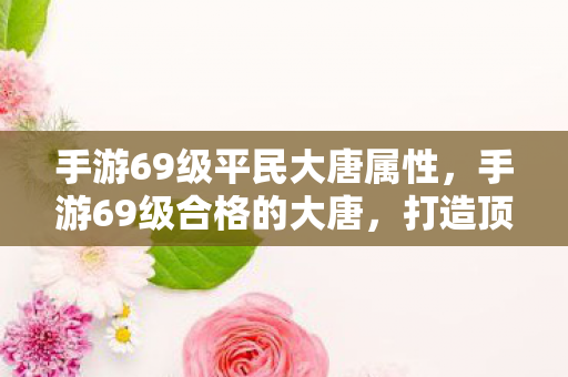 手游69级平民大唐属性，手游69级合格的大唐，打造顶尖大唐的全面攻略