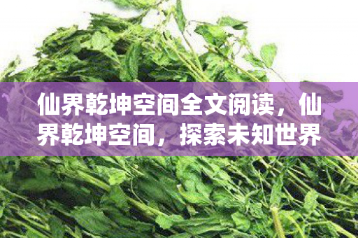 仙界乾坤空间全文阅读,仙界乾坤空间,探索未知世界的奇幻之旅 仙界乾坤空间全文阅读,仙界乾坤空间,探索未知世界的奇幻之旅