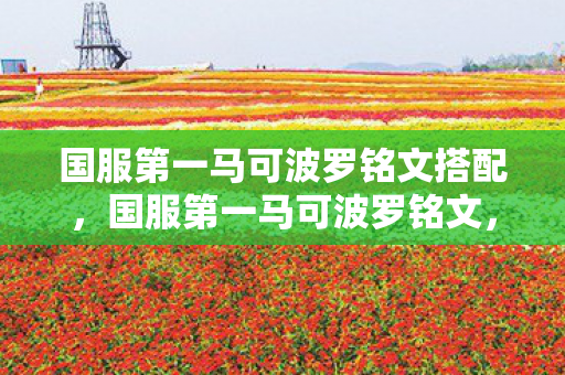 国服第一马可波罗铭文搭配,国服第一马可波罗铭文,解锁顶级射手的终极奥义 国服第一马可波罗铭文搭配,国服第一马可波罗铭文,解锁顶级射手的终极奥义