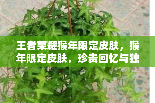珍贵回忆与独特魅力的结合图片