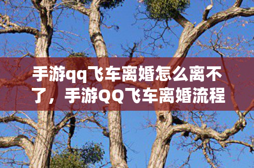 手游qq飞车离婚怎么离不了，手游QQ飞车离婚流程详解