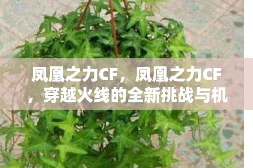 凤凰之力CF,凤凰之力CF,穿越火线的全新挑战与机遇 凤凰之力CF,凤凰之力CF,穿越火线的全新挑战与机遇