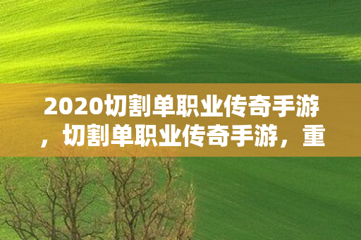 2020切割单职业传奇手游，切割单职业传奇手游，重塑经典，挑战无限可能