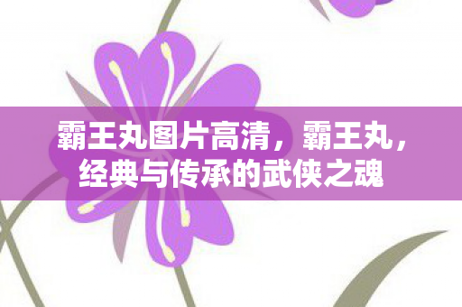 霸王丸图片高清，霸王丸，经典与传承的武侠之魂