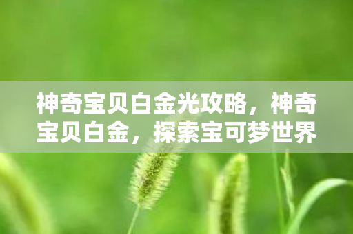 神奇宝贝白金光攻略，神奇宝贝白金，探索宝可梦世界的奇妙之旅