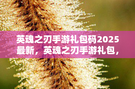 英魂之刃手游礼包码2025最新图片