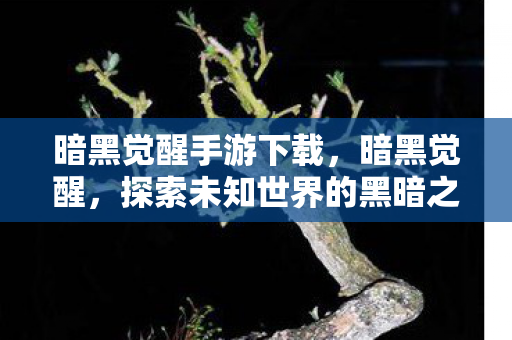暗黑觉醒手游下载，暗黑觉醒，探索未知世界的黑暗之旅