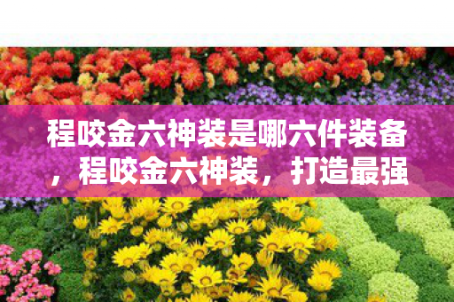 程咬金六神装是哪六件装备,程咬金六神装,打造最强坦克的终极指南 程咬金六神装是哪六件装备,程咬金六神装,打造最强坦克的终极指南