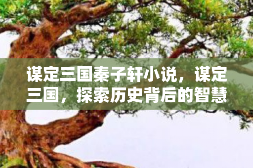 谋定三国秦子轩小说,谋定三国,探索历史背后的智慧与策略 谋定三国秦子轩小说,谋定三国,探索历史背后的智慧与策略