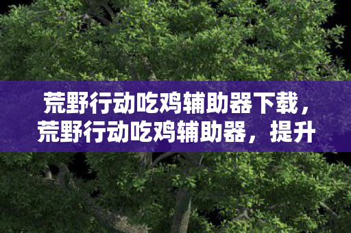 荒野行动吃鸡辅助器下载图片