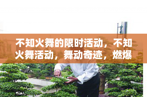不知火舞的限时活动，不知火舞活动，舞动奇迹，燃爆全场！