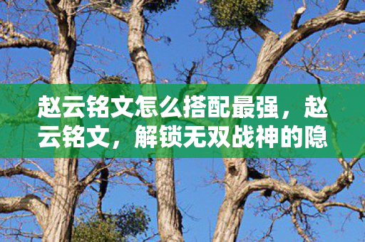 赵云铭文怎么搭配最强,赵云铭文,解锁无双战神的隐藏力量 赵云铭文怎么搭配最强,赵云铭文,解锁无双战神的隐藏力量
