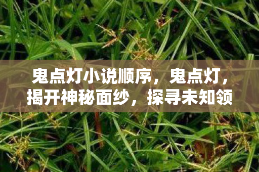 鬼点灯小说顺序，鬼点灯，揭开神秘面纱，探寻未知领域的奇幻之旅